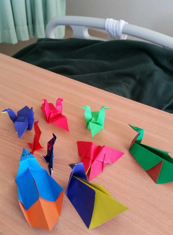 “Colours and Hope - Helping our palliative care patients to find hope through origami art!”. Julia Ho, Malaysia